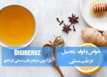 "خواص زنجبیل در طب سنتی؛ بهبود گوارش، تقویت گردش خون و تسکین سردردها، مستند به قانون ابنسینا و مخزن الادویه"