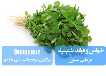 شنبلیله در طب سنتی: افزایش شیر مادران، کنترل دیابت و تقویت مو