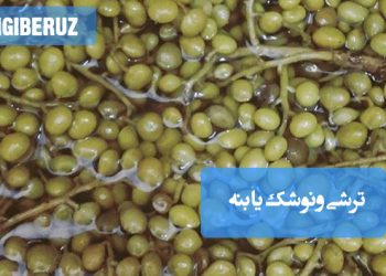 ترشی ونوشک (بنه): دستور تهیه ترشی خوشطعم و پرخاصیت، چاشنی اشتهاآور و مفید برای گوارش