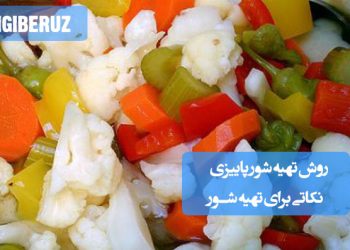 روش تهیه شور پاییزی خانگی به‌همراه نکات طلایی برای طعم‌دهی بی‌نظیر و ماندگاری طولانی‌تر در فصل پاییز