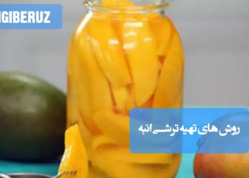 ترشی انبه: روش‌های تهیه ترشی خوش‌طعم و سرشار از ویتامین C، اشتهاآور و مغذی.