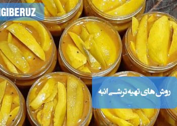 ترشی انبه: روشهای تهیه ترشی خوشطعم و معطر، چاشنی اشتهاآور و سرشار از ویتامین.