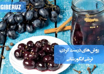 ترشی انگور شانی: روشهای تهیه ترشی خوشرنگ و پرخاصیت، چاشنی اشتهاآور و سرشار از آنتیاکسیدان