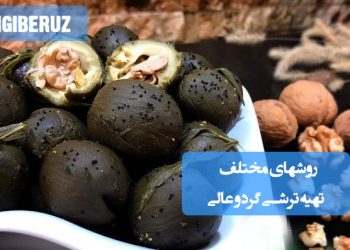 ترشی گردو: روشهای مختلف تهیه ترشی لذیذ و مقوی، چاشنی سرشار از امگا ۳ و آنتیاکسیدان.