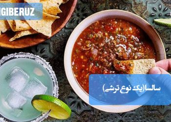 سالسا، ترشی مکزیکی خوشطعم با ترکیبی از گوجه تازه، فلفل سبز، پیاز، سیر و سبزیجات معطر؛ مناسب چاشنی غذاهای خانگی.