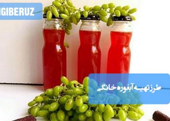 آبغوره خانگی: طرز تهیه آبغوره طبیعی و ترشمزه، چاشنی پرکاربرد و مفید برای گوارش
