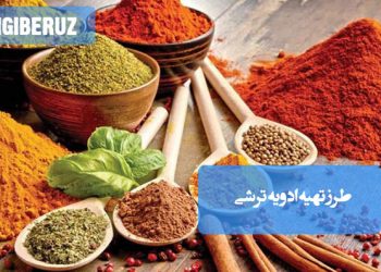 طرز تهیه ادویه ترشی خانگی با ترکیب ادویههای معطر، مناسب افزایش طعم و خواص سلامتی ترشیها