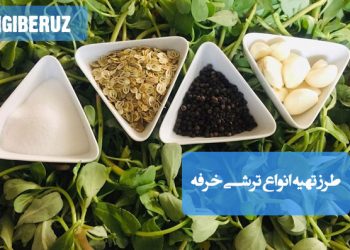 ترشی خرفه: طرز تهیه انواع ترشی پرخاصیت و متفاوت، چاشنی اشتهاآور و سرشار از امگا-۳