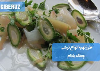 ترشی چغاله بادام: طرز تهیه انواع ترشی فصلی و پرخاصیت، با طعمی دلنشین و سرشار از مواد معدنی.