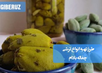 ترشی چغاله بادام: طرز تهیه انواع ترشی فصلی و پرخاصیت، با طعمی دلنشین و سرشار از مواد معدنی
