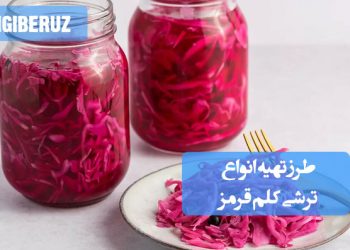 انواع ترشی کلم قرمز: طرز تهیه ترشی خوشرنگ و سرشار از آنتیاکسیدان، پرفیبر و مغذی.