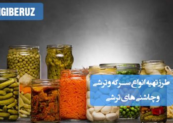 انواع سرکه و ترشی: راهنمای تهیه چاشنیهای خانگی متنوع و سالم، اشتهاآور و مغذی برای هر سفره
