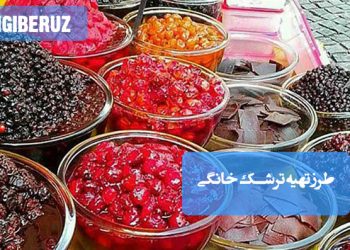 ترشک خانگی: طرز تهیه ترشکی سالم و پرخاصیت؛ یک میانوعده طبیعی و خوشطعم بدون مواد افزودنی.
