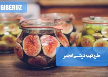طرز تهیه ترشی انجیر خانگی؛ دستور ساده و خوشمزه با نکات کلیدی برای طعم‌دهی عالی و نگهداری طولانی مدت