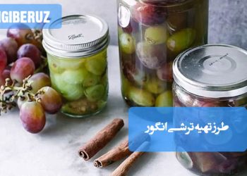 ترشی انگور: دستور تهیه کامل ترشی انگور خانگی، یک چاشنی خوشطعم و آسان برای فصول مختلف
