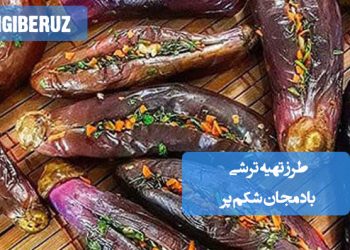 ترشی بادمجان شکمپر خانگی با طعم لذیذ و ادویهدار، مناسب تقویت گوارش و افزایش اشتها