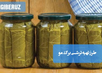 ترشی برگ مو خانگی با طعم ملایم و طبیعی، مفید برای هضم غذا و مناسب کنار غذاهای سنتی