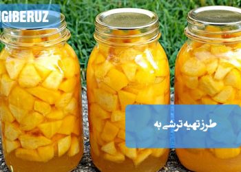 ترشی به خانگی با طعم ملس و خوش‌عطر، مناسب تقویت هضم و افزایش اشتها در فصل پاییز