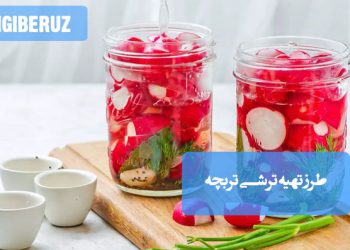 ترشی تربچه: طرز تهیه ترشی خوشطعم و پرخاصیت، مفید برای هضم و سرشار از ویتامین C.