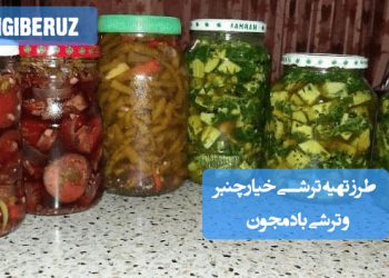ترشی خیار چنبر و بادمجان خانگی با طعم ترش و ادویه‌ای، مناسب تقویت گوارش و افزایش اشتها