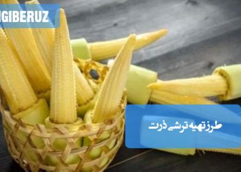 ترشی ذرت: طرز تهیه ترشی خوش‌طعم و مغذی ذرت، چاشنی اشتهاآور و سرشار از فیبر برای سفره.