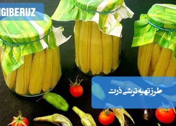 ترشی ذرت خانگی با خاصیت فیبری بالا و آنتی‌اکسیدان، موثر در بهبود گوارش و تنظیم قند خون