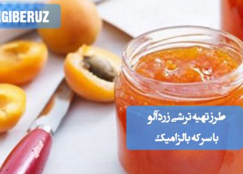 ترشی زردآلو با سرکه بالزامیک، طعمی ملس و خاص، مناسب تقویت گوارش و افزایش اشتها