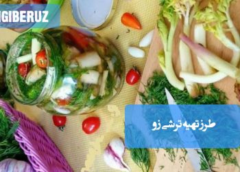 طرز تهیه ترشی زو و مربای خانگی؛ دستور ساده و فوتوفن نگهداری، انتخاب مواد و طعمدهی عالی برای سفرههای ایرانی