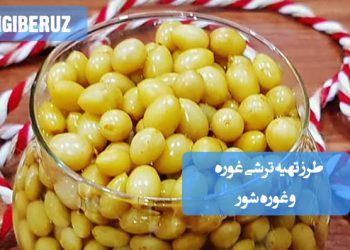 ترشی غوره: طرز تهیه ترشی و غوره شور خوش‌طعم، چاشنی اشتهاآور و مفید برای گوارش.