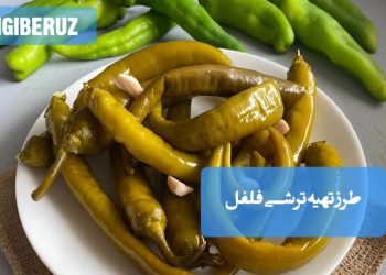 ترشی فلفل تند خانگی با طعم پرحرارت و خوشعطر، مفید برای تقویت سیستم گوارش و افزایش اشتها