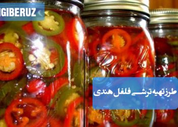 ترشی فلفل هندی خانگی با خاصیت ضدالتهابی قوی و افزایش متابولیسم، مفید برای بهبود هضم و تقویت سیستم ایمنی