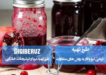 آموزش کامل تهیه ترشی لبو و انار با چند روش متفاوت و خوشطعم برای فصل پاییز و زمستان
