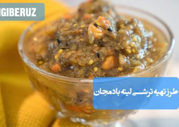 ترشی لیته بادمجان: طرز تهیه ترشی خوشطعم و اشتهاآور، پرفیبر و مغذی برای کنار غذا.