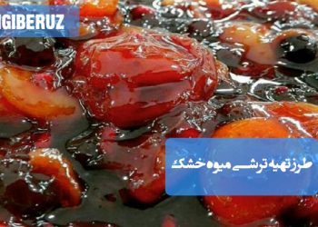 ترشی میوه خشک: طرز تهیه ترشی مغذی و پرفیبر، چاشنی خاص و انرژیزا برای سفره.