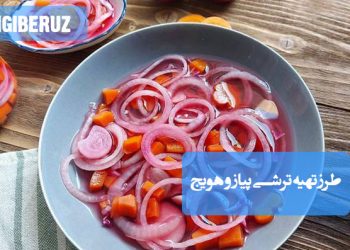 ترشی پیاز و هویج خانگی با خواص آنتی‌اکسیدانی و ضدالتهابی، تقویت میکروبیوم روده و بهبود هضم غذا