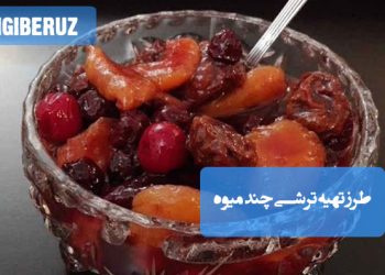 ترشی چند میوه خانگی با ترکیب آنتی‌اکسیدان‌های متنوع، تقویت سیستم ایمنی و بهبود عملکرد دستگاه گوارش