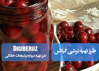"دستور تهیه ترشی گیلاس تازه با روشهای خانگی و نکات کلیدی برای طعمی ملس و خوشعطر"