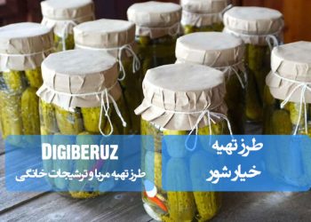 "دستور تهیه ترشی چغندر با روشهای خانگی ساده و نکات کلیدی برای طعمی ملس و خوشرنگ"