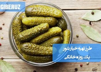 خیار شور یکروزه خانگی با طعم تازه و خاصیت پروبیوتیکی، موثر در بهبود هضم و تقویت سیستم ایمنی