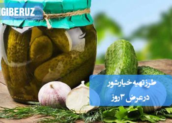 خیارشور سهروزه خانگی با طعم ترد و خاصیت پروبیوتیکی قوی، بهبود سلامت روده و تقویت سیستم ایمنی