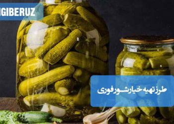 خیارشور فوری خانگی با طعم ترد و پروبیوتیک، موثر در بهبود عملکرد روده و تقویت سیستم ایمنی