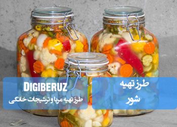 "آموزش مرحله‌به‌مرحله تهیه شور خانگی با روش‌های متنوع برای سبزیجات و ترشیجات تازه و خوش‌طعم"