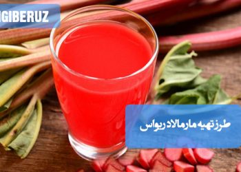 مارمالاد ریواس خانگی با خواص ضدالتهابی و فیبری، مناسب بهبود هضم و کاهش التهابهای گوارشی