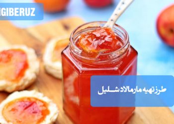 طرز تهیه مارمالاد شلیل: دستور کامل مارمالاد خانگی شلیل، مربایی خوش‌رنگ و خوش‌طعم برای صبحانه