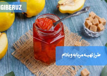 ترشی انبه: روش‌های تهیه ترشی خوش‌طعم و سرشار از ویتامین C، اشتهاآور و مغذی.