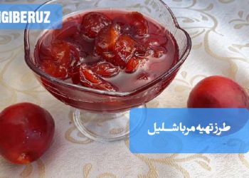 مربای شلیل: طرز تهیه مربایی سرشار از ویتامین و فیبر، خوش‌رنگ و مغذی برای صبحانه.