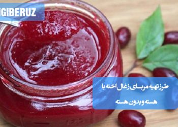 مربای زغال اخته: طرز تهیه مربایی پرخاصیت و سرشار از آنتی‌اکسیدان، مفید برای قلب و چشم