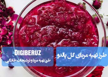 "دستور تهیه مربای گل پالدو با روشهای سنتی برای طعمی لطیف و معطر، مناسب علاقهمندان به طعمهای خاص"