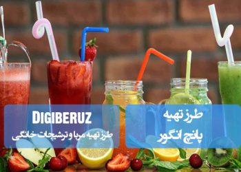 "دستور تهیه پانچ انگور خنک و خوشطعم با ترکیبی از میوههای تازه و روشهای آسان خانگی"