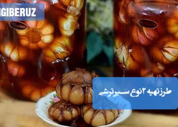 سیر ترشی: دو روش سنتی و خانگی با دستورالعملهای ساده، چاشنی خوشطعم و پرخاصیت